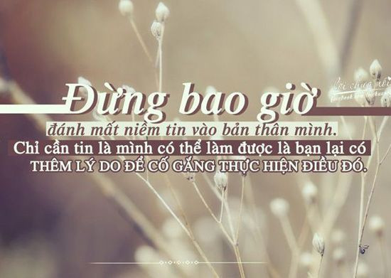 những câu nói hay về cuộc sống tươi đẹp