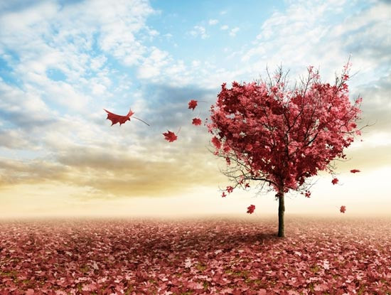 Những câu nói hay về yêu xa bằng tiếng Anh