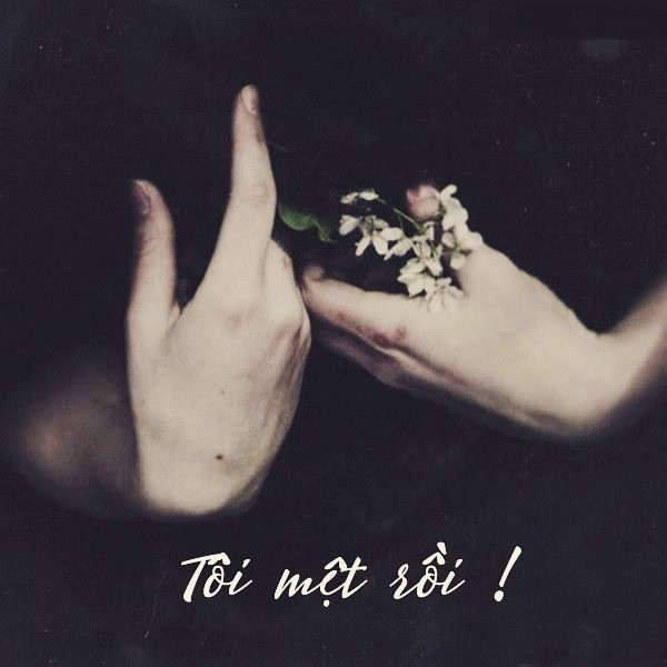 stt hay về cuộc sống bon chen
