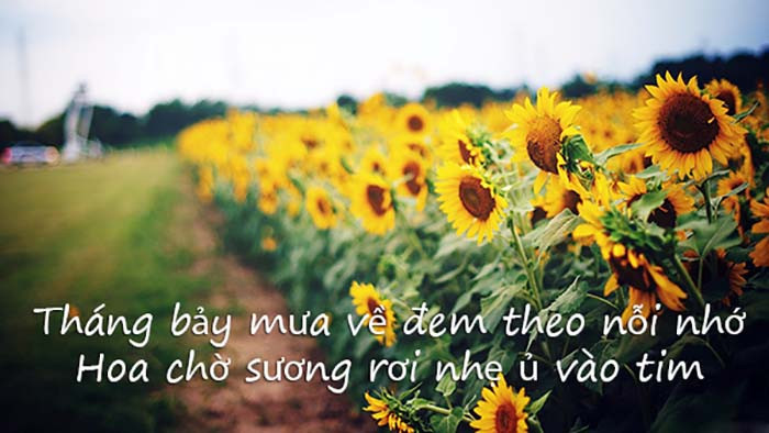 stt tháng cô hồn