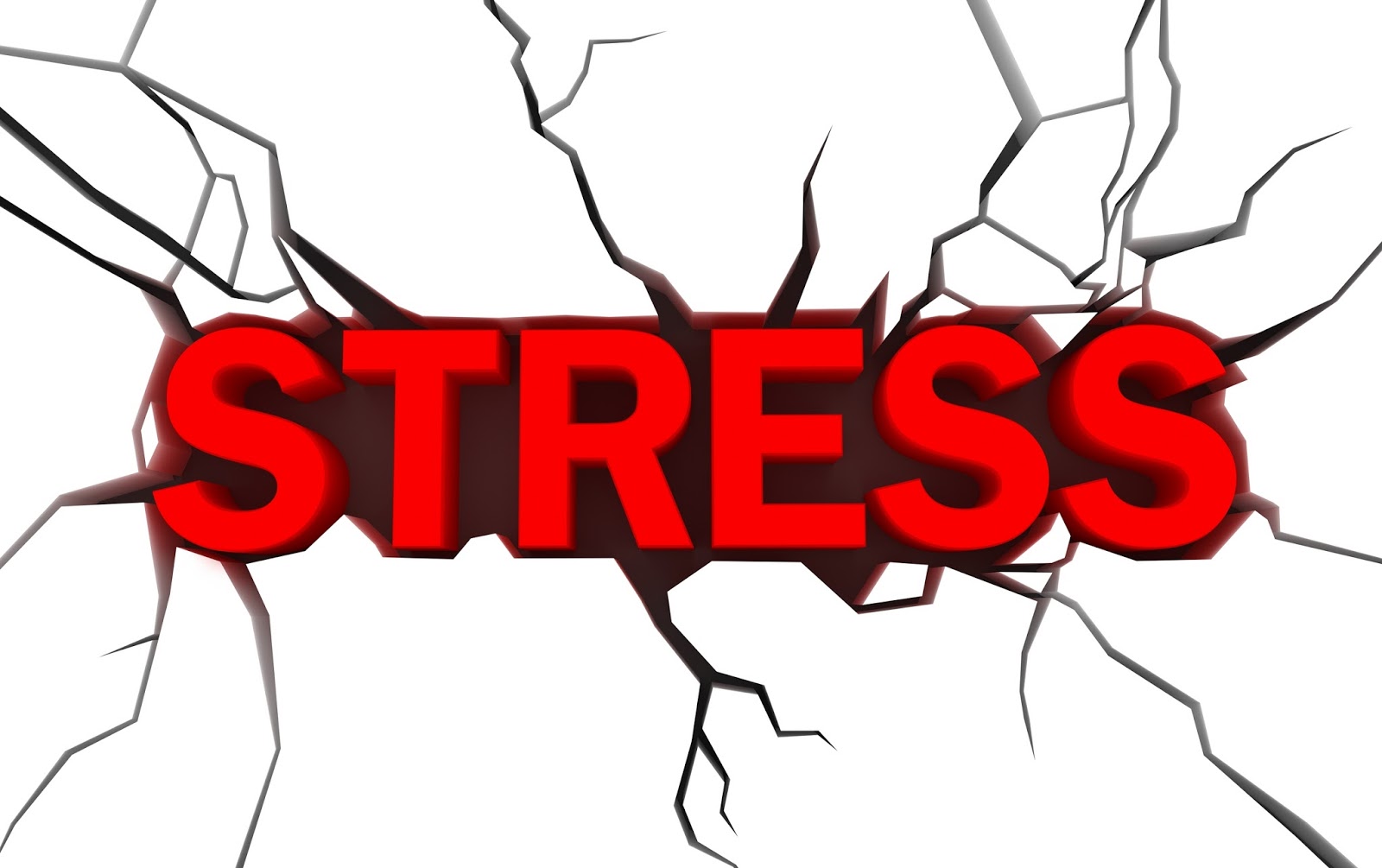 stress là gì?