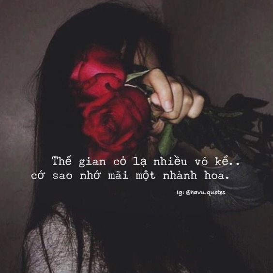 stt buồn