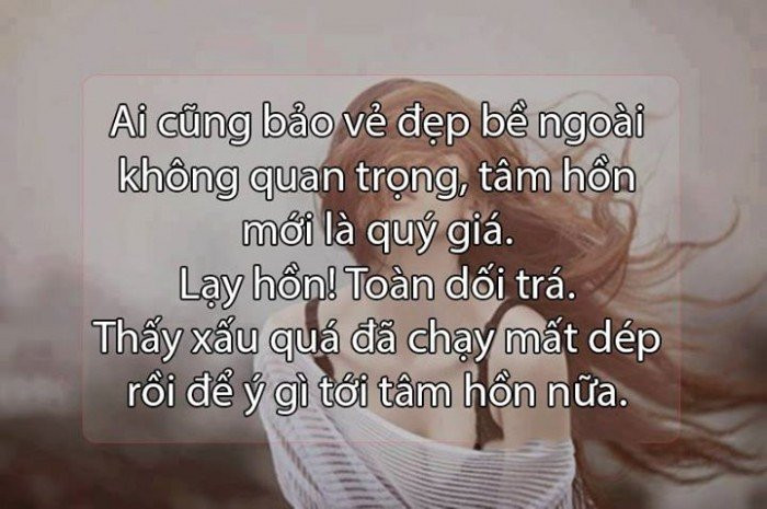 stt chất