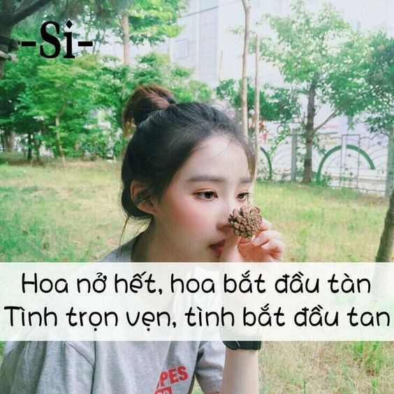 Stt Chất