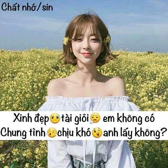Stt Chất