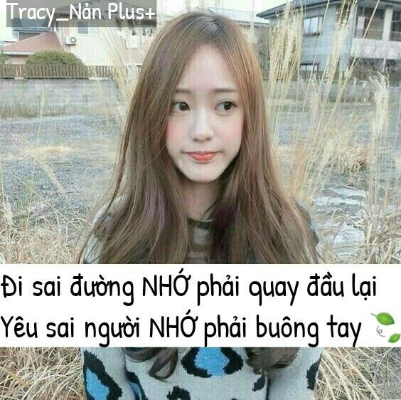 Stt Chất