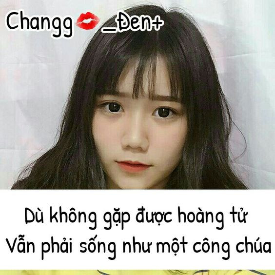 Stt Chất
