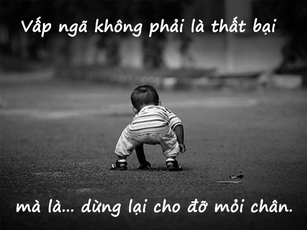 stt chất