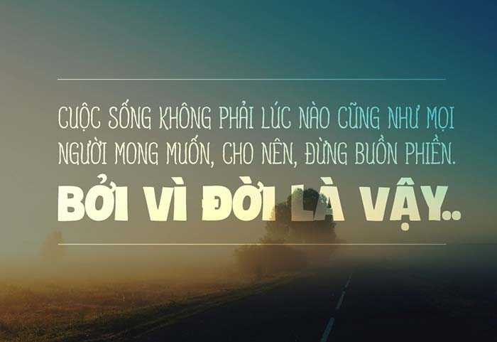 stt chất