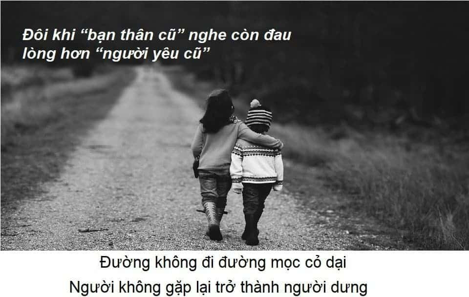 stt chất