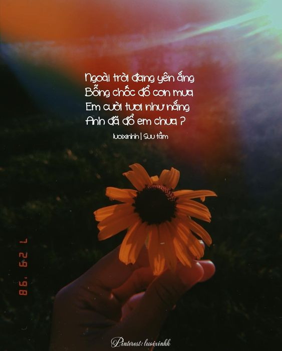 Stt chất về tình yêu