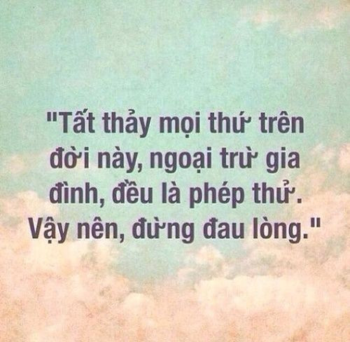 Stt hay về gia đình