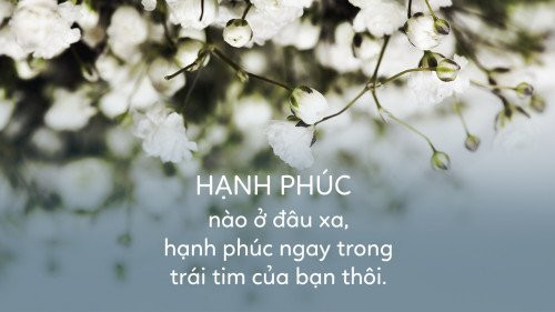 stt hay về tình yêu đẹp ngắn
