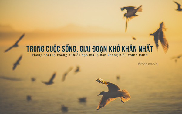 stt hay về cuộc sống