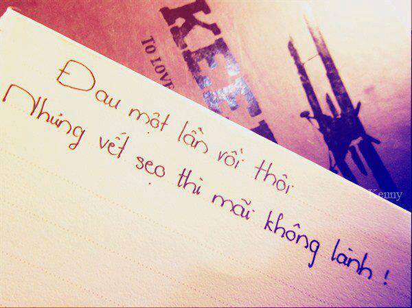 stt ý nghĩa tháng 6 về tình yêu