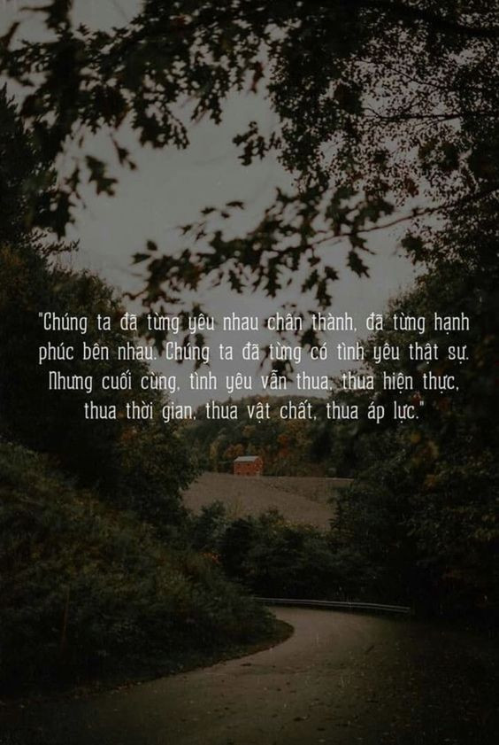 stt lạc quan yêu đời