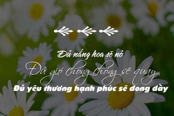 stt lạc quan yêu đời