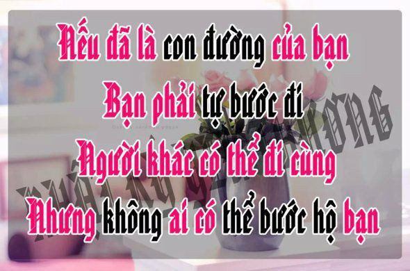 stt lạc quan yêu đời