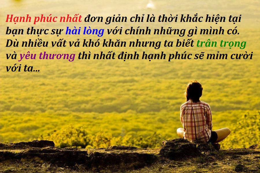 stt lạc quan yêu đời