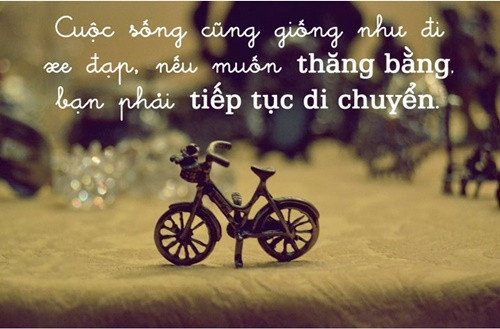 stt lạc quan yêu đời