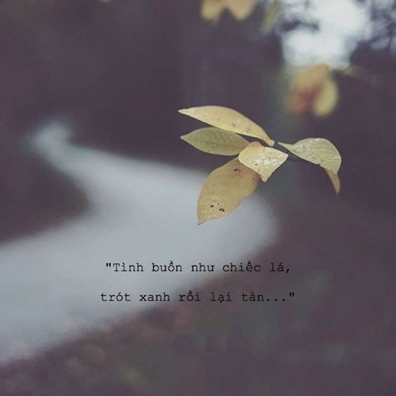 stt mệt mỏi với cuộc sống hiện tại