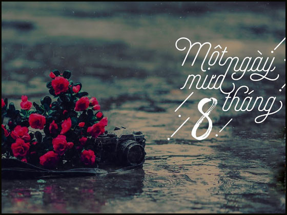 stt hay về mưa