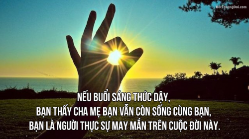 Stt ngắn về hạnh phúc