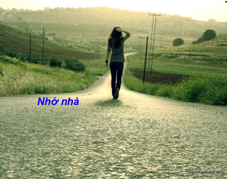 stt nhớ nhà ngắn