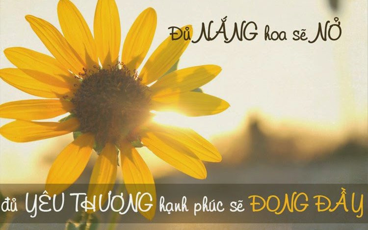 stt tâm trạng vui