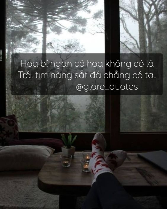 Stt Thả Thính