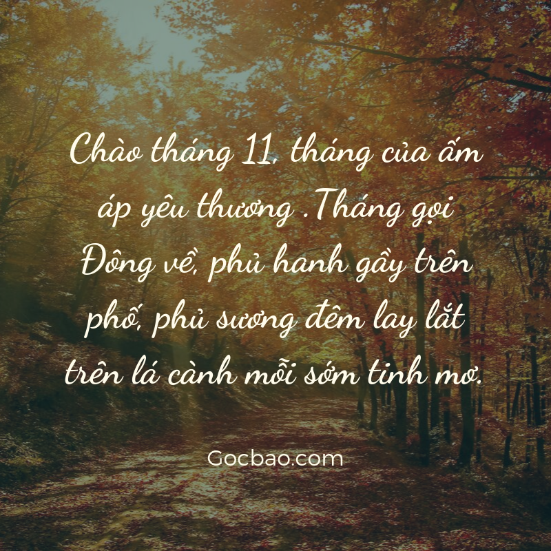 Stt viết cho tháng 11