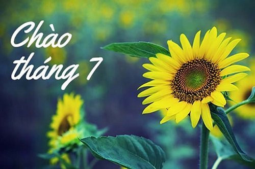 stt tháng cô hồn