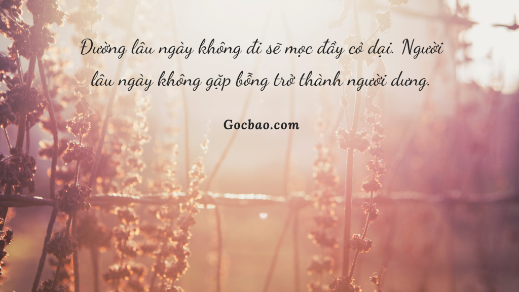 Stt thất tình buồn đau xót