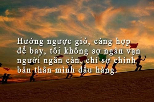 Stt thất vọng về bản thân mình