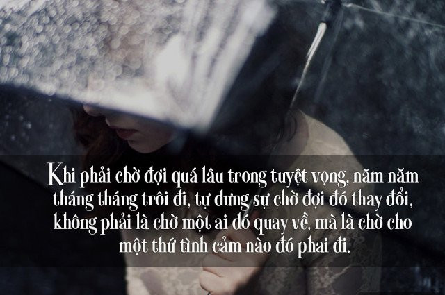 stt hay về cuộc sống bon chen