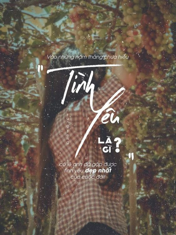 Câu stt hay về tình yêu