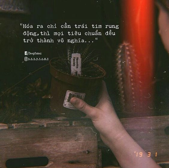 Stt tình yêu nhạt