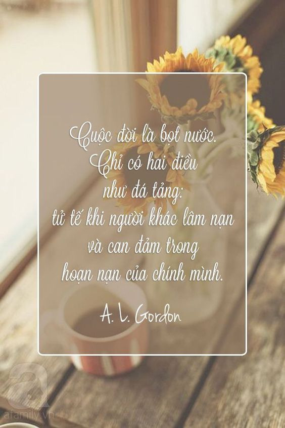STT Hay Về Cuộc Sống