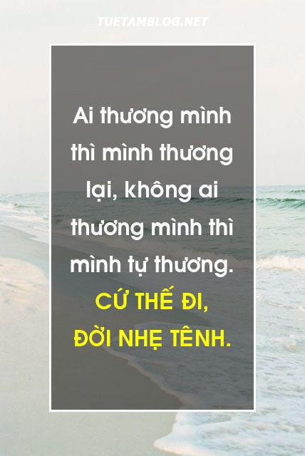 STT Hay Về Cuộc Sống