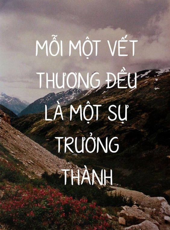 STT Hay Về Cuộc Sống