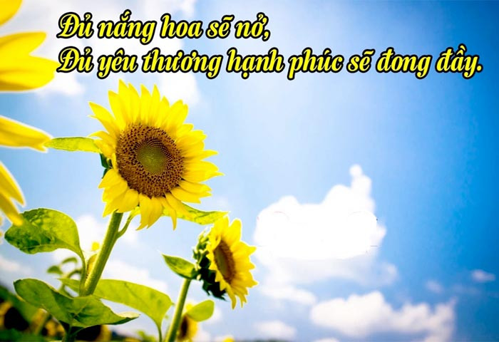 Stt vui tươi yêu đời