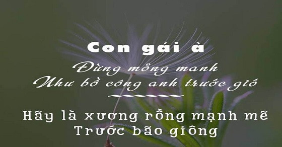 stt vui vẻ ngắn về con gái