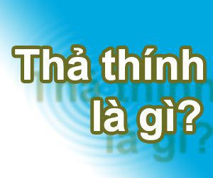 Stt-tha-thinh-2