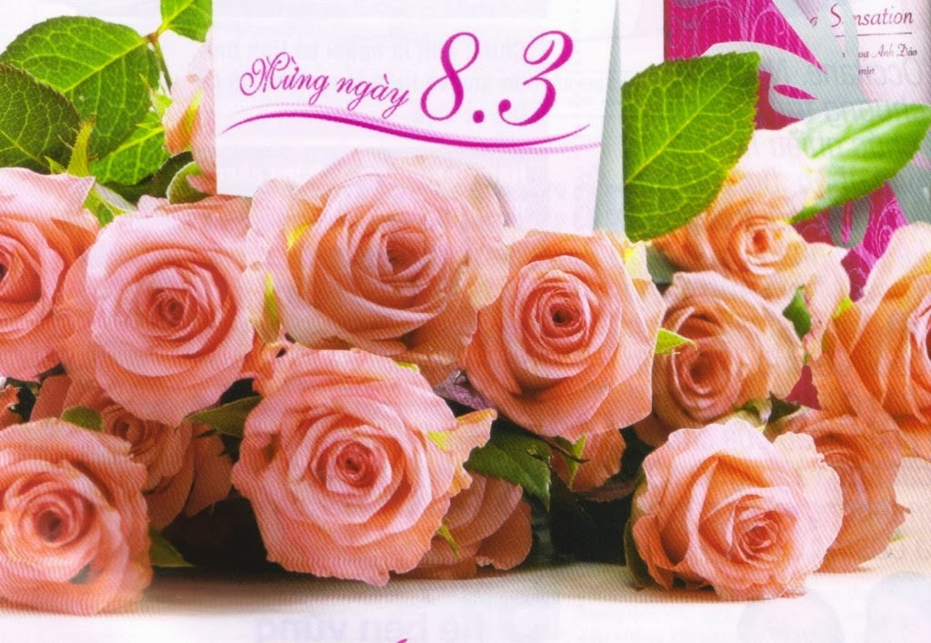 thiệp 8-3