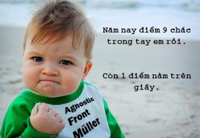 Stt vui về mùa thi hài hước