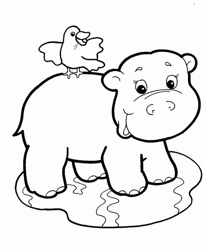 tranh tô màu con chim và hà mã dễ thương