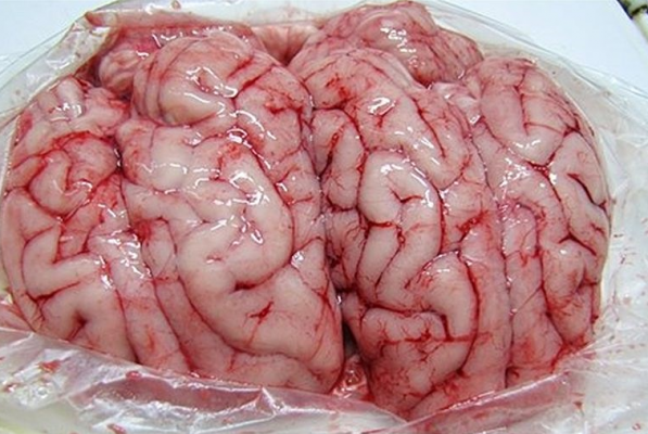 trẻ mấy tháng ăn được óc heo