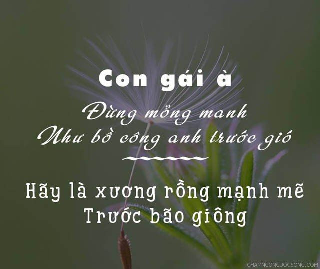 stt chất về con gái