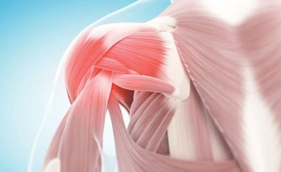 vật lý trị liệu khớp vai