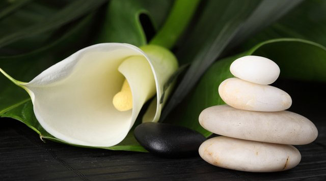 stt về cuộc sống an nhiên